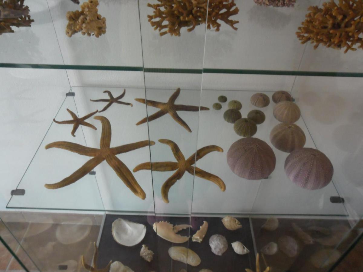 Canne Al Vento Teulada Dış mekan fotoğraf